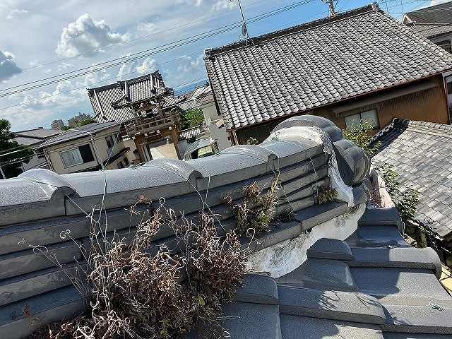棟漆喰と雑草繁殖