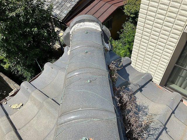 漆喰にコケ