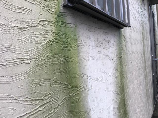 外壁のカビ