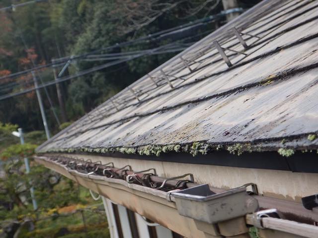 屋根の色あせ劣化